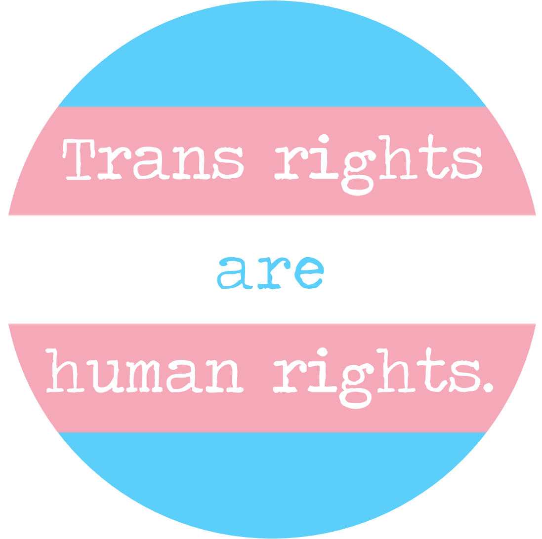 A Sticker which reads Trans Rights